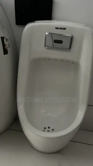 Automatic Urinal Bol