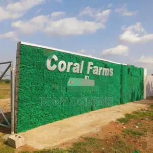 C of O Acres of Plantain, Palm Oil Farmlands for Sale at Iseyin Ibadan