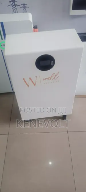 15kwh 51.2v Wellrun Lithium Battery With 15.36kwh Capacity