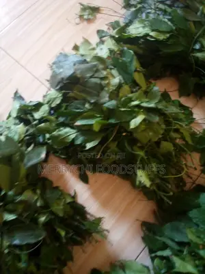 Fresh Okazi Leaves