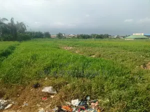 25,000sqm Land for Lease in Freedom Way, Lekki Phase 1, Lagos