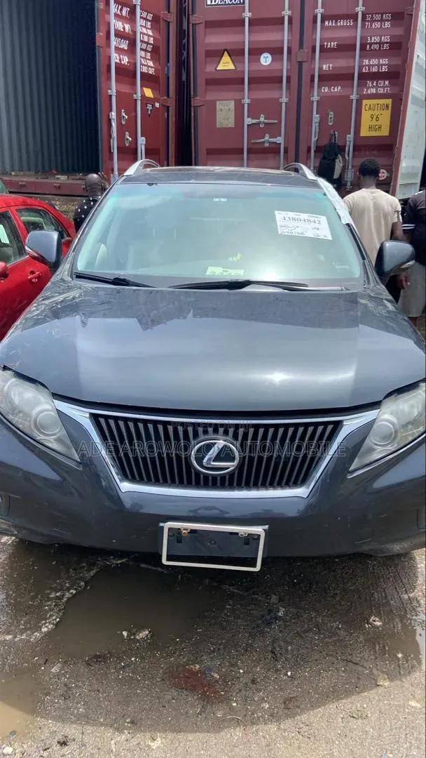 Lexus RX 2010 Gray