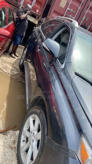 Lexus RX 2010 Gray