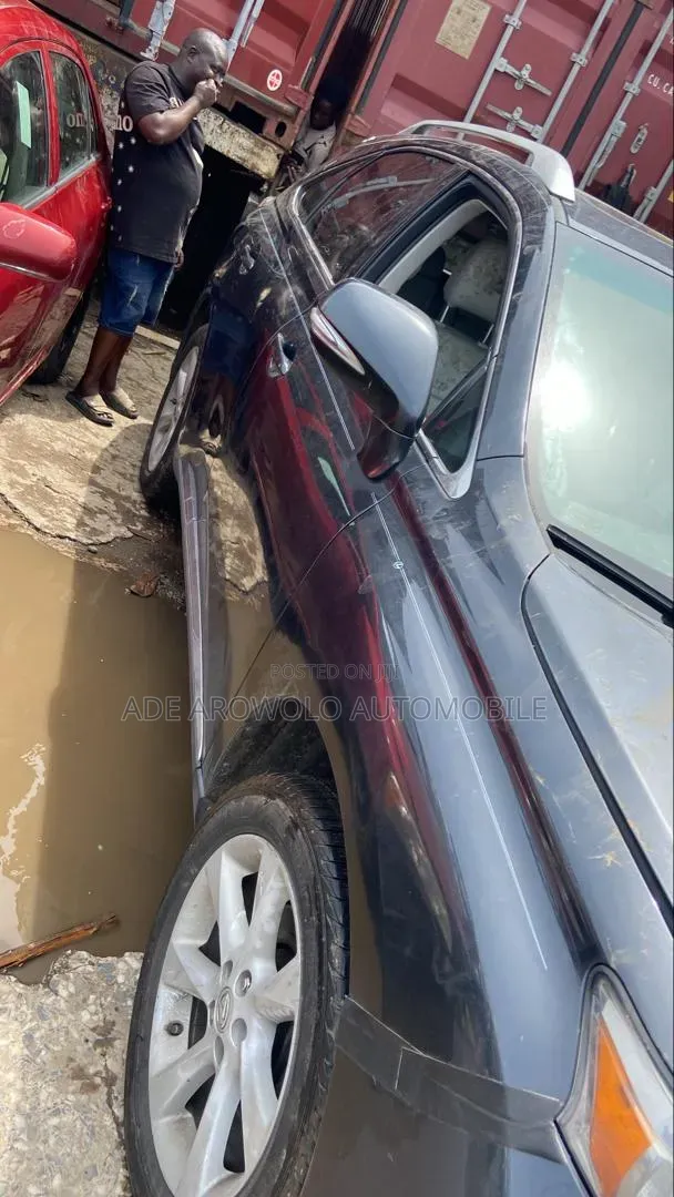 Lexus RX 2010 Gray
