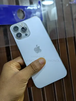 Apple iPhone 13 Pro Max 256 GB Silver