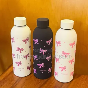 Insulated Vacuum Flask