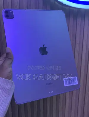 Apple iPad Pro 256 GB Gray