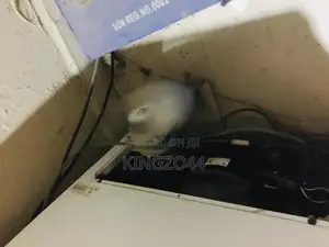 Nexus Chest Freezer