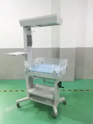 Infant Warmer