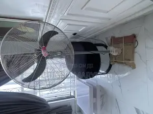 Standing Fan