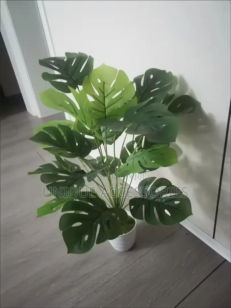 Green Plants With Vase