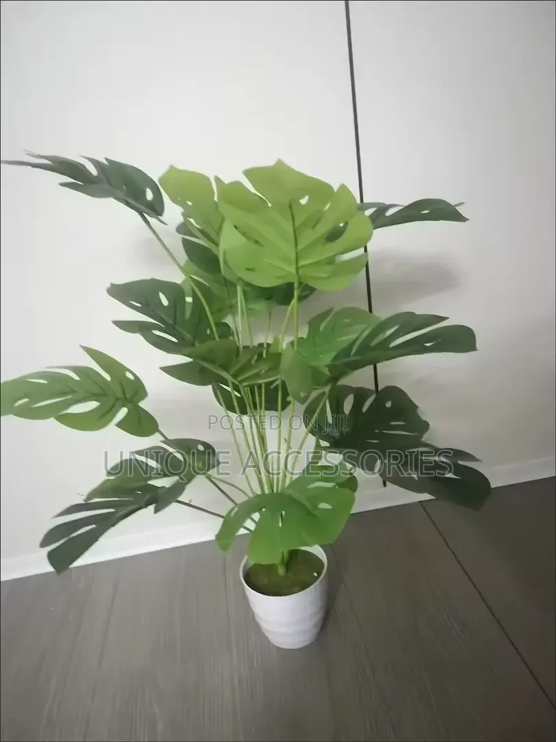Green Plants With Vase