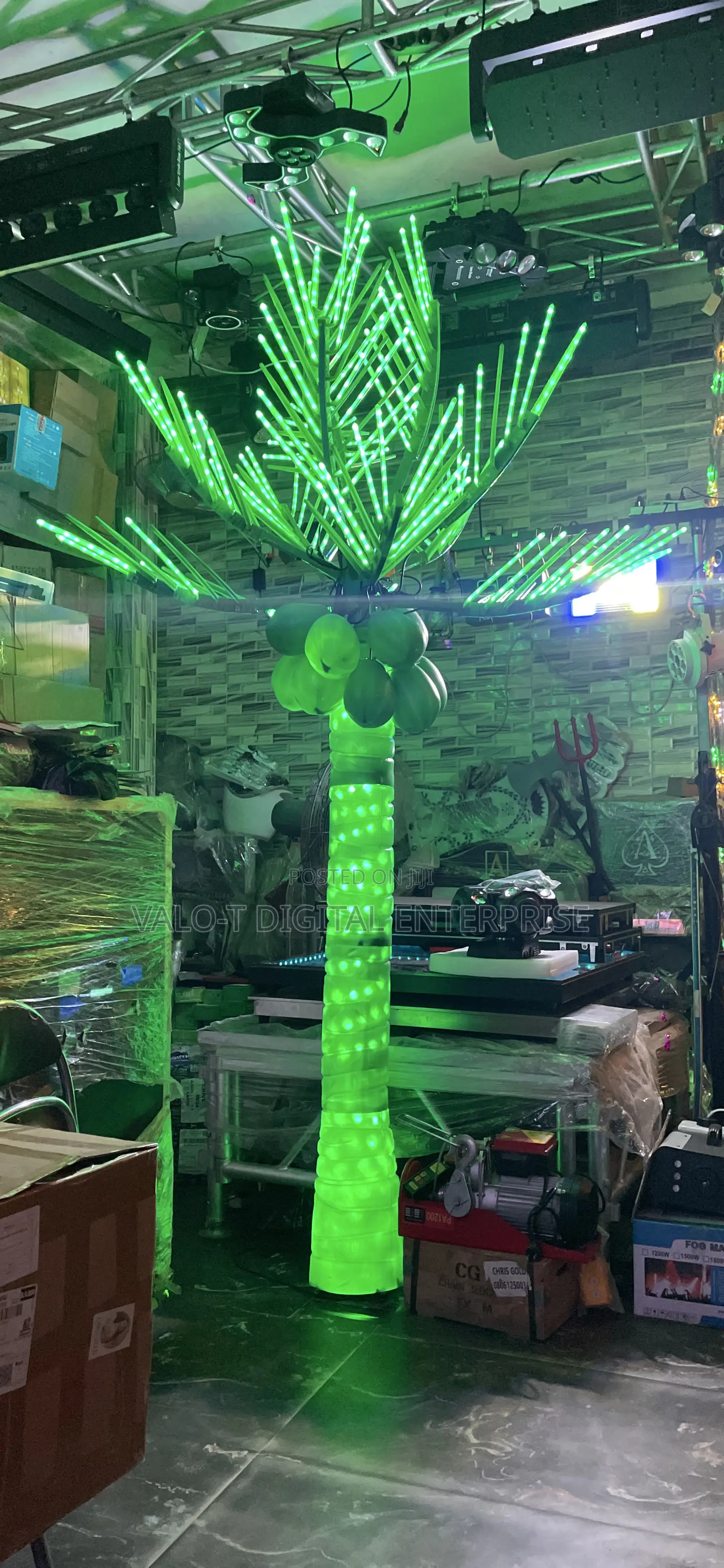 Coconut Tree