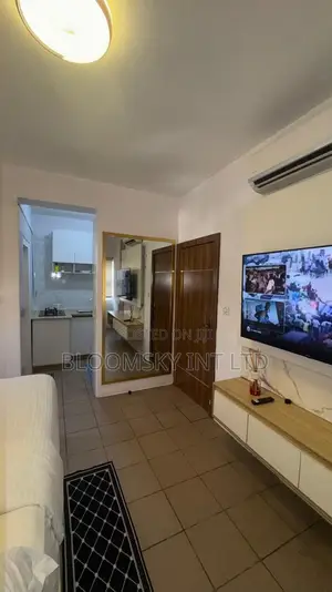 Lovely Studio Apartment in Ikoyi