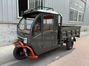 Electric Tricycle