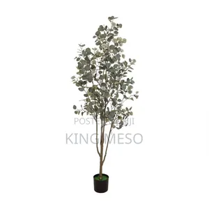 1.9 Metre Tall 
Note This Design Does Not Come With the Pot