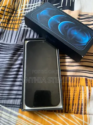 Apple iPhone 12 Pro Max 256 GB Blue