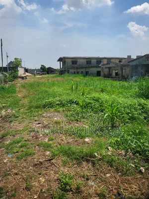 Half Plot of Land for Sale Iyana Ipaja
