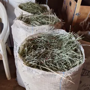 Dried Cut Lemon Grass