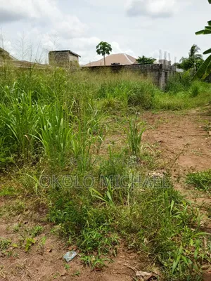 Fenced 6 and Half Plots of Land