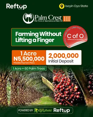 C of O Palm Oil Farmland With 5m+ Annual Income in Iseyin Oyo