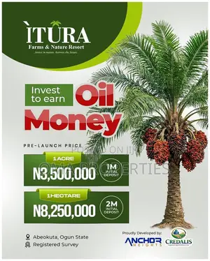 Palm Oil Investment, Farm Without Being Dirty