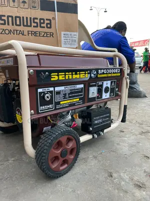 Senwei Generator Set Model SPG 3000