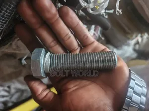 20mmx80 Hex Bolt And Nut