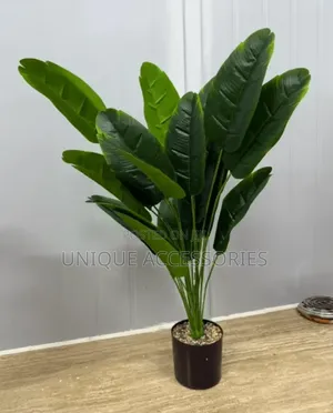 Green Plants Flowers With Vase