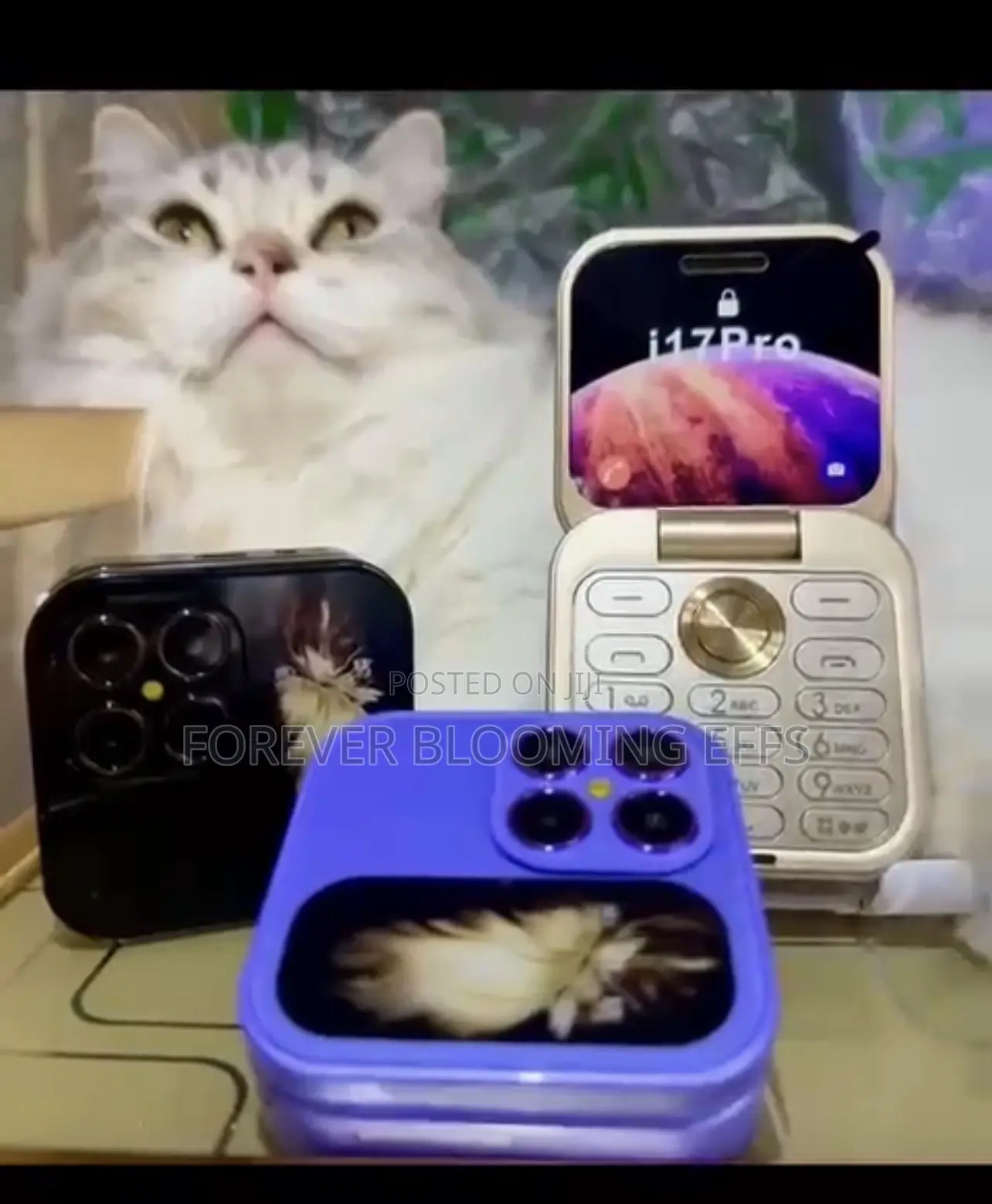 New Mobile Phone
