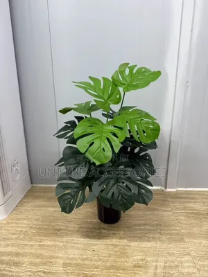 Green Plants With Vase
