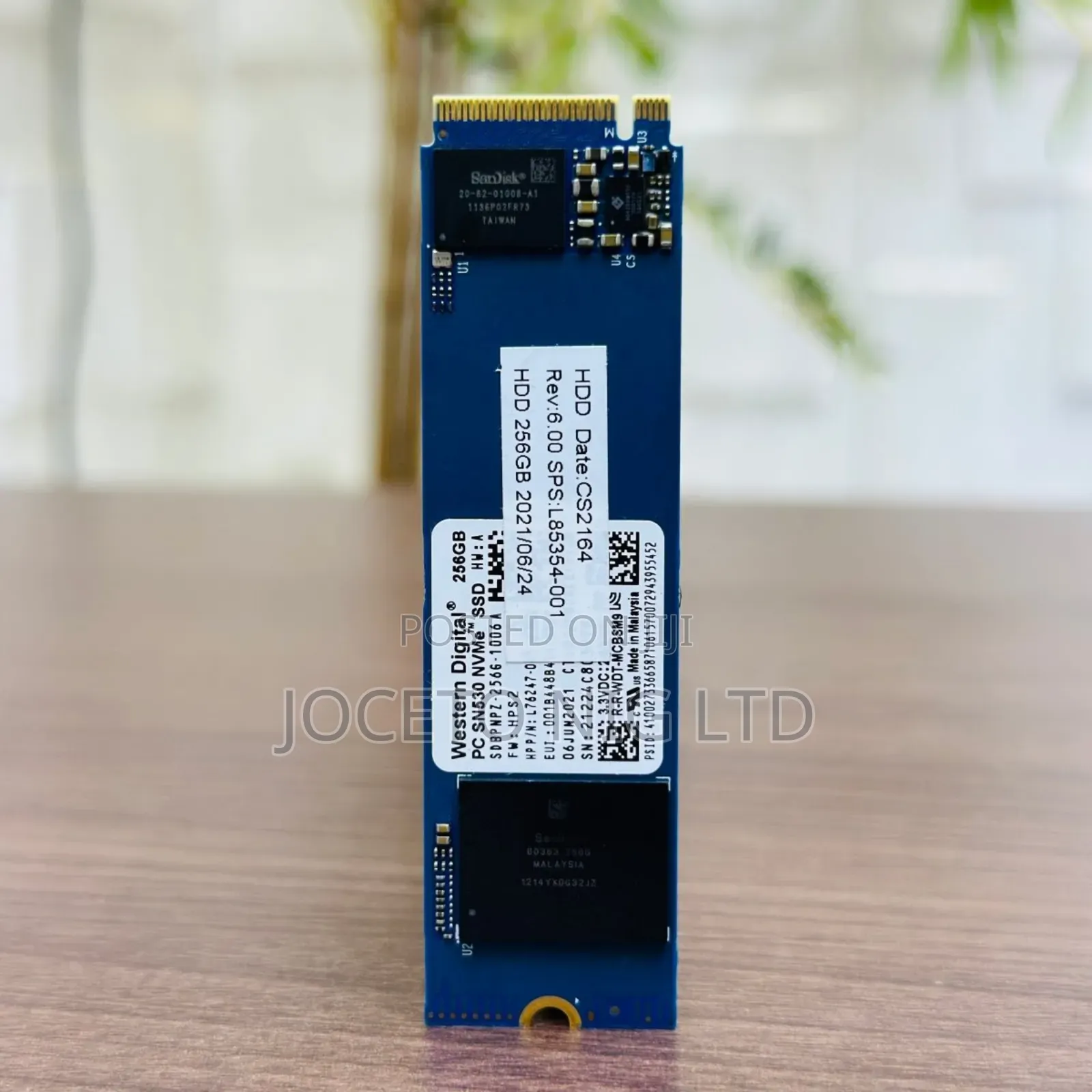 Wd M2 256g SSD Card
