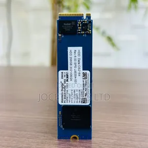 Wd M2 256g SSD Card