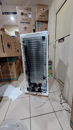 New Lg Upright Standing Freezer for Ice Block Business Warranty 2years