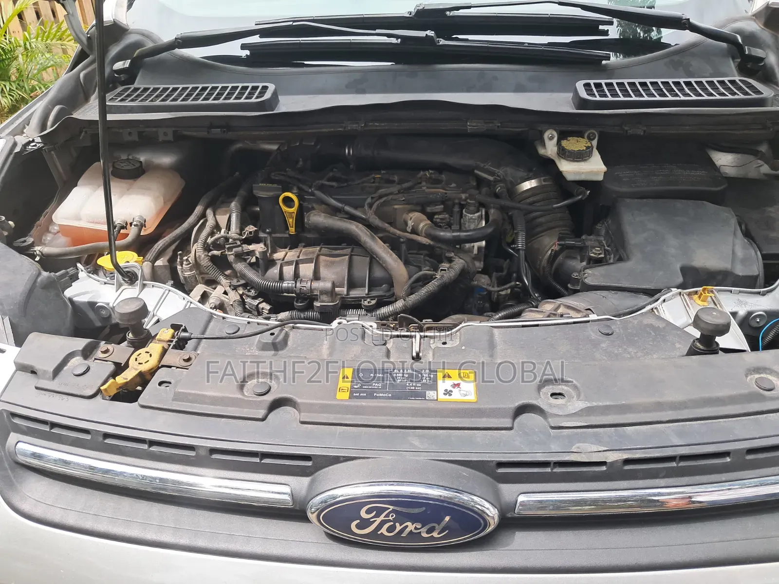 Ford Escape SE 2013 Silver