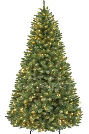 Contact for Your Christmas Tree