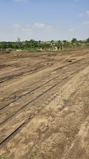 Apo- Waru Estate Plot