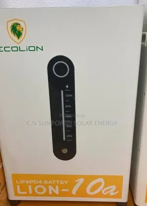 5kwh/24v Ecolion Lithium-Iron Phosphate Energy Storage Battery System