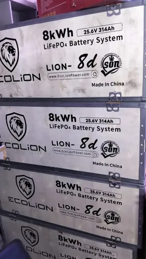 8kwh 24v Ecolion Lithium Batteries