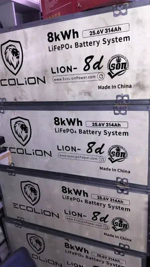 8kwh 24v Ecolion Lithium Batteries