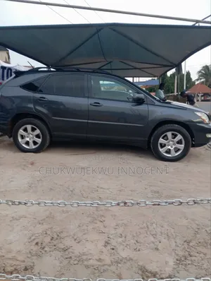 Lexus RX 330 2004 Gray