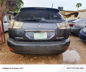 Lexus RX 350 2007 Gray