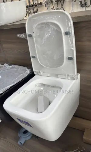 Wall Mounted Water Closet (Twyford)