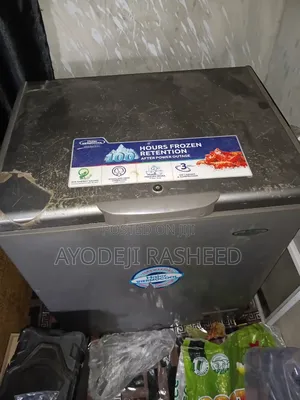 Haier Thermocool Deep Freezer