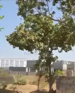 Gaduwa 2191sqm Cofo