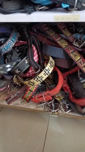 Dog Collars