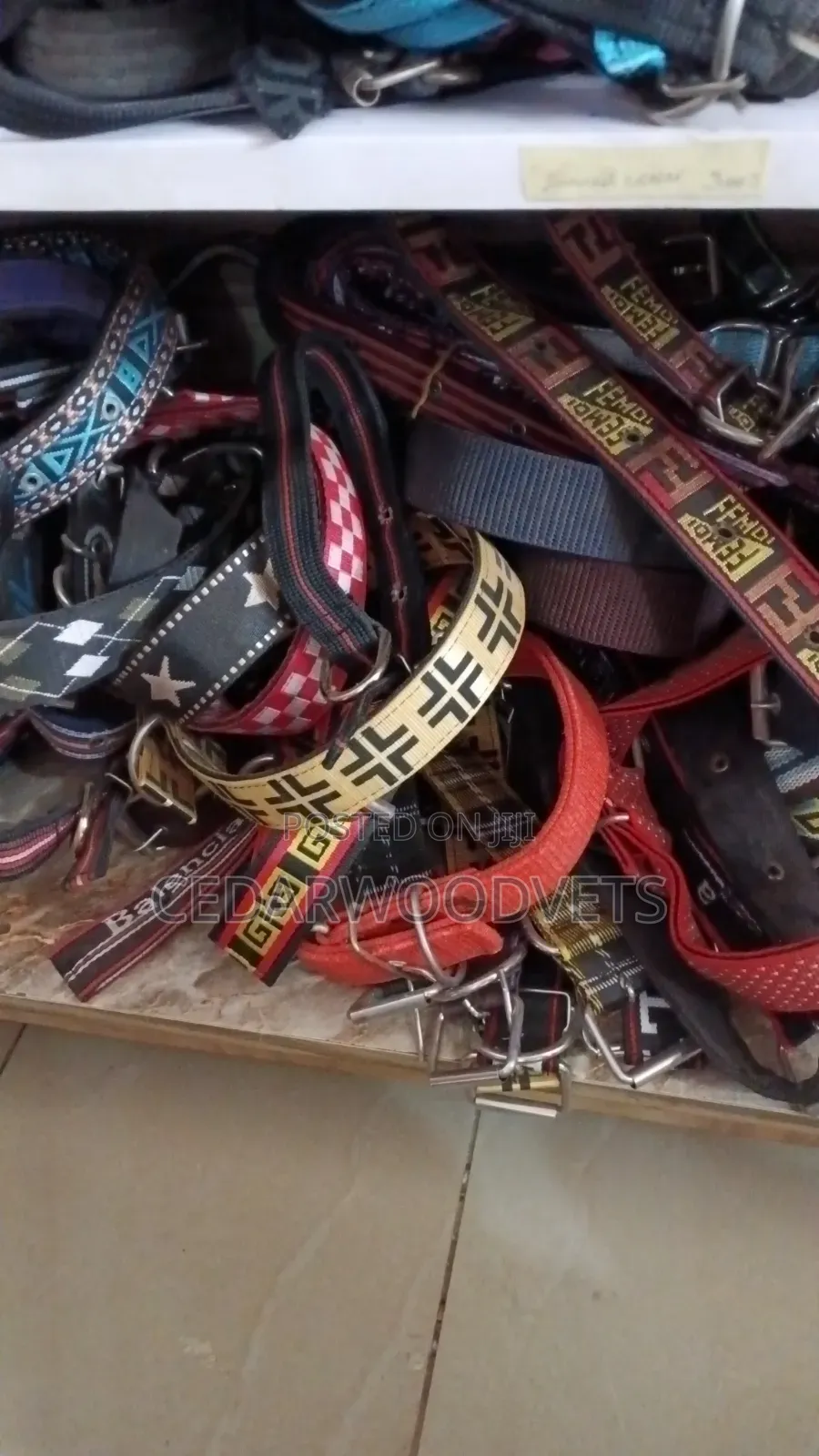 Dog Collars