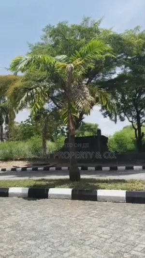 2025 SQM Corner Piece Land. In Banana Island