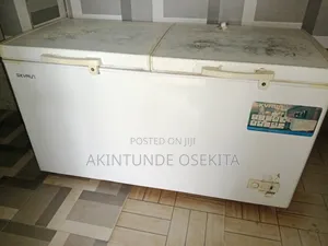 550 Litres Skyrun Double Door Chest Freezer for Sale
