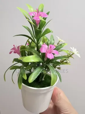 Flower With Vase